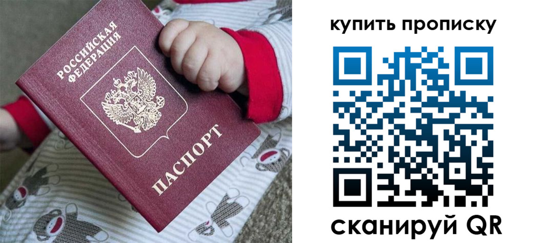 где прописаться в Порхове